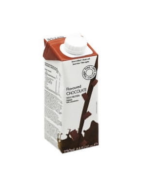High Protein Drink Chocolate TetraBrik 250ml