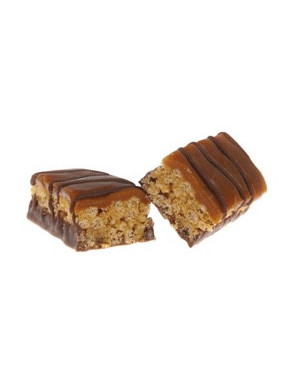 Chocolate Peanut Protein Bar - Gluten Free